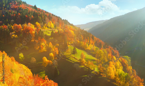 Schwarzwald Landschaft im Herbst mit Blätter und Sonnenuntergang in den Bergen