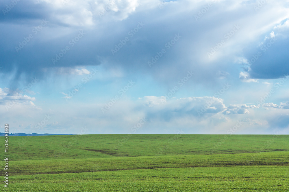 green field with fresh vibrant grass and blue sky with dramatic clouds at the daytime green field with fresh vibrant grass and blue sky with dramatic clouds at the daytime