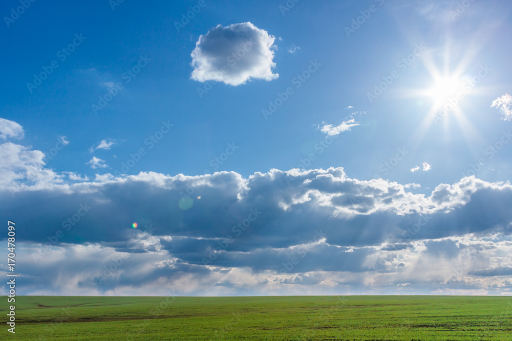 green field with fresh vibrant grass and blue sky with dramatic clouds and the sun at the daytime green field with fresh vibrant grass and blue sky with dramatic clouds and the sun at the daytime