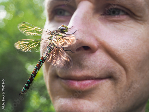 Dragonfly sits on the nose. A man with a dragonfly on his nose.The man's face in profile.
