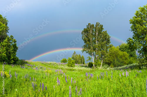 double rainbow in the blue cloudy sky over green meadow and a forest illuminated by the sun in the country side