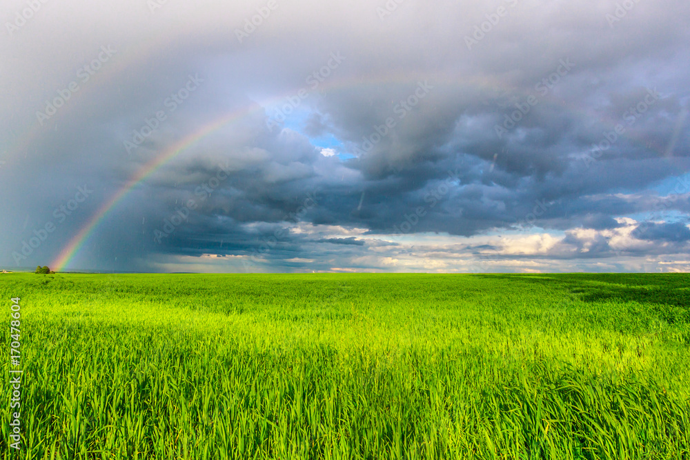 double rainbow in the blue cloudy dramatic sky over green field and a forest illuminated by the sun in the country side