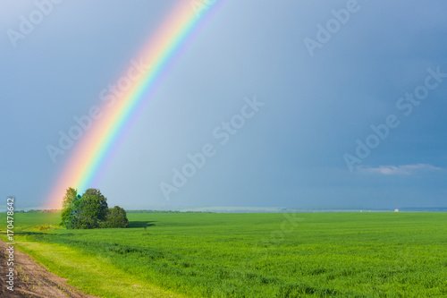 rainbow in the blue clear sky over green tranquil field illuminated by the sun in the country side