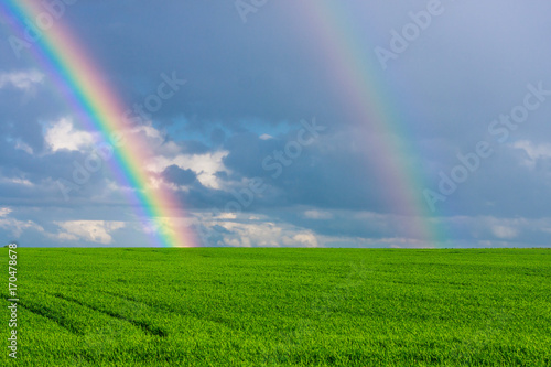 double rainbow in the blue cloudy dramatic sky over green field of wheat illuminated by the sun in the country side
