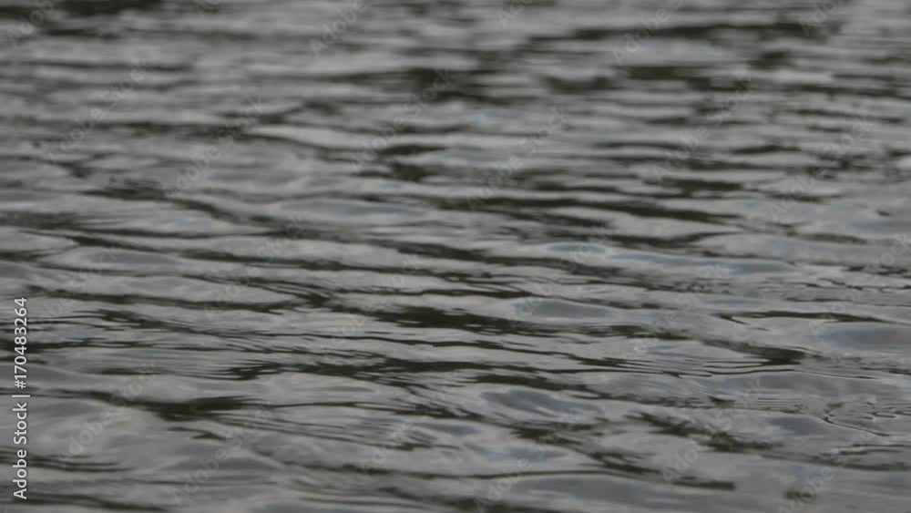 Reflection in the water surface of a river Reflection in the water surface of a river