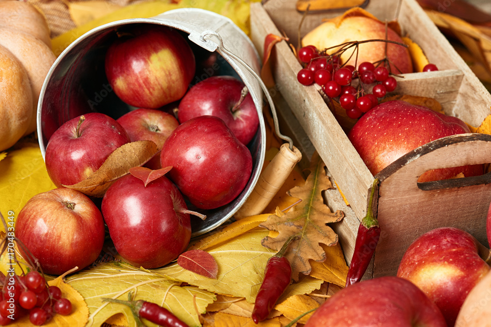 Naklejka premium Autumn background from yellow leaves, apples, pumpkin. Fall season, eco food and harvest concept