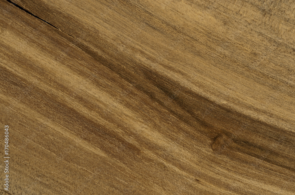 Natural walnut wood texture Natural walnut wood texture