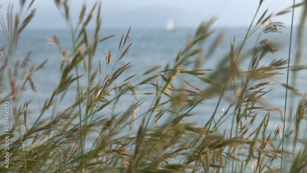Sailing boats navigating slowly in the sea with open sails, view from the coast. Sailing boats navigating slowly in the sea with open sails, view from the coast.