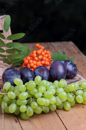 Green grapes, plums and mountain ash in a wooden basket