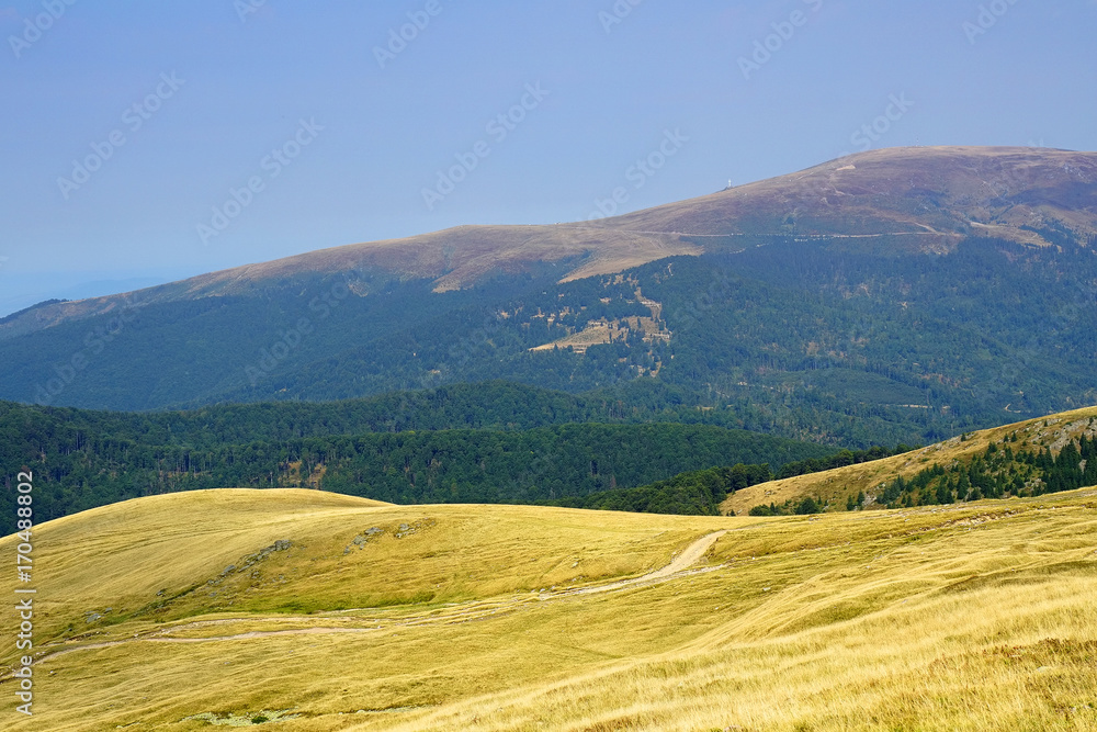 Alpine landscape in Tarcu Mountains, Carpathians, Romania, Europe