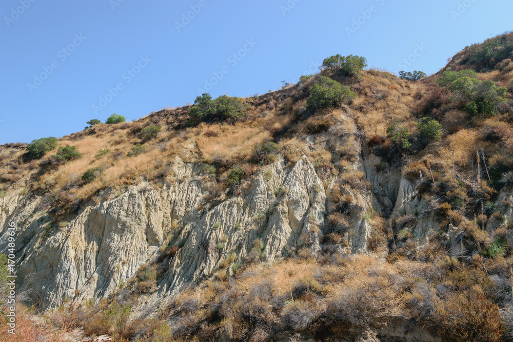 Summer hillside after strong winter storms