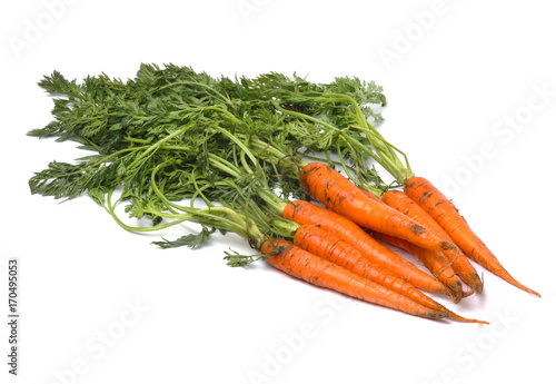 carrots with a tops on a white background