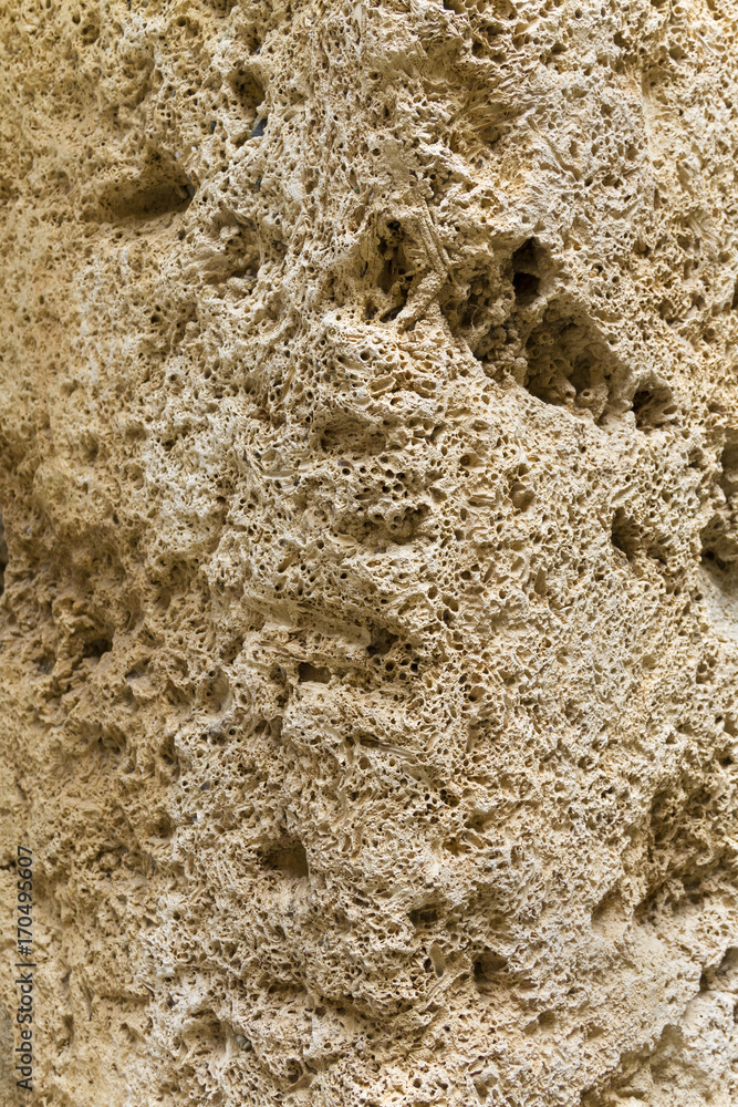 Carved limestone - tufa; background, texture.
