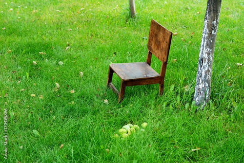 Small vintage chair in the garden with apples 