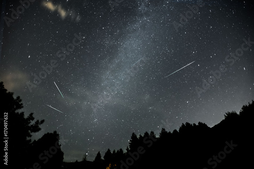 stelle cadenti nella notte di san lorenzo