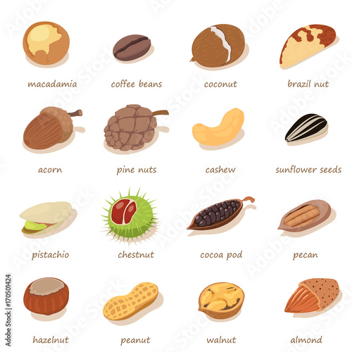 Nuts and seeds icons set, isometric style