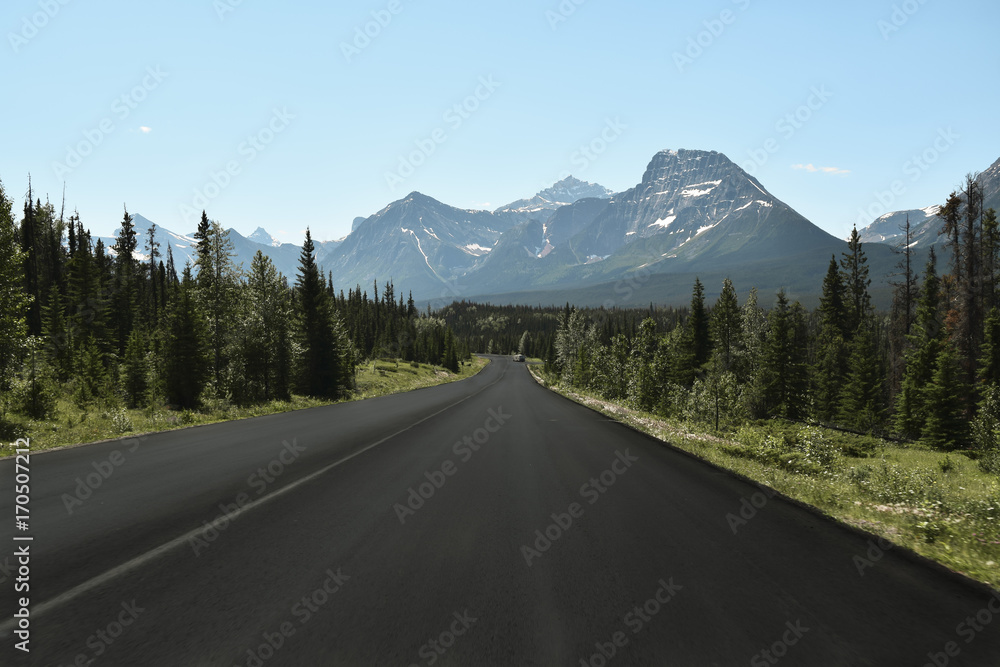 Fototapeta premium Canadian Rockies
