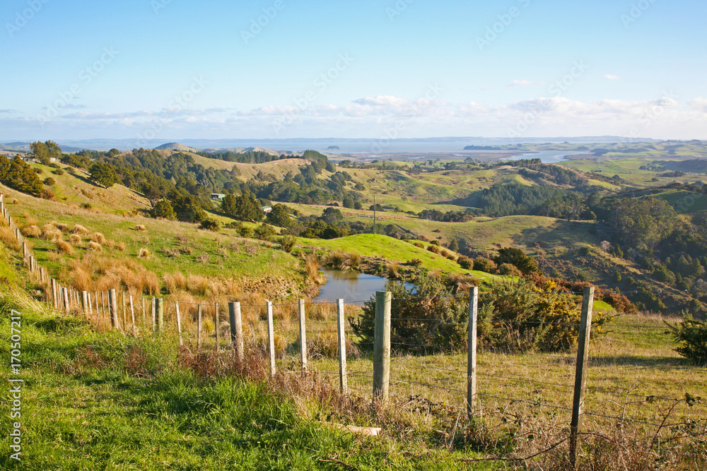 Classic rural Kiwi farming scene on New Zealand's North Island