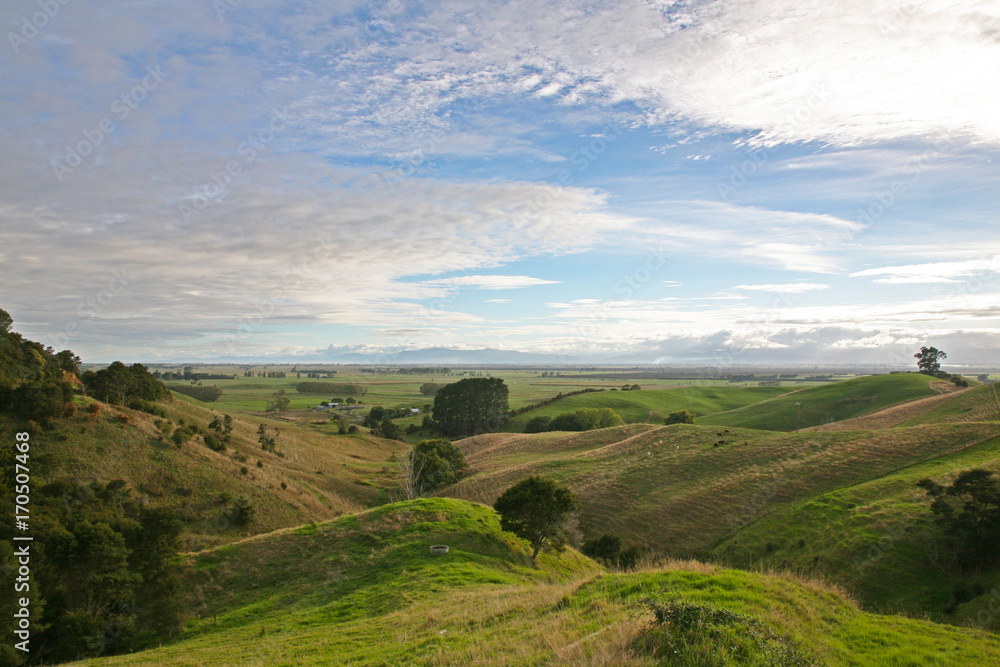 Morning scene in the rural Waikato District, New Zealand's home of dairy farming on the North Island