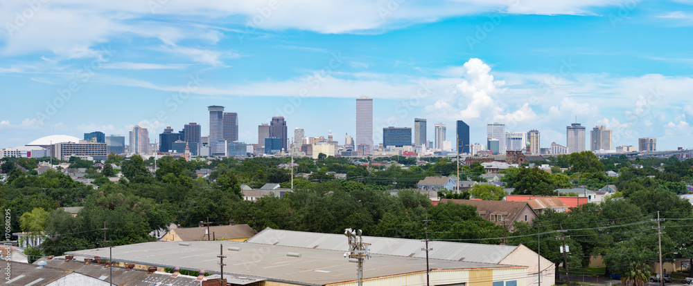 Fototapeta premium Panorama of New Orleans, Louisiana from Mississippi