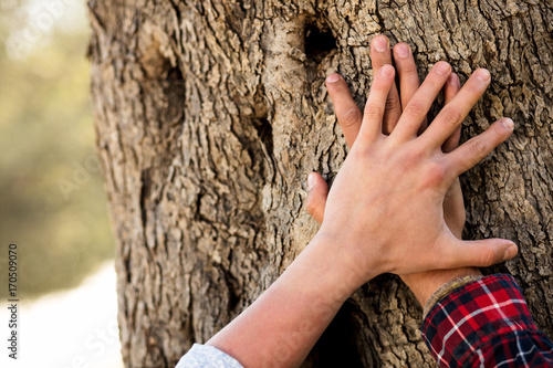 Man put hand on old tree trunk. Male palm on aged oak tree bark. © FS-Stock