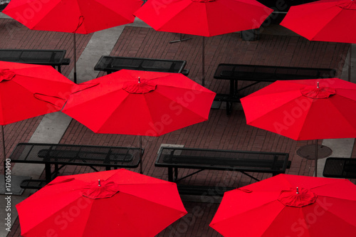 Umbrellas photo