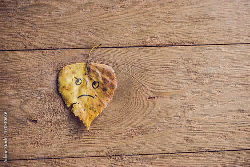 Yellow and green leaf with sad face on the old wooden background photo