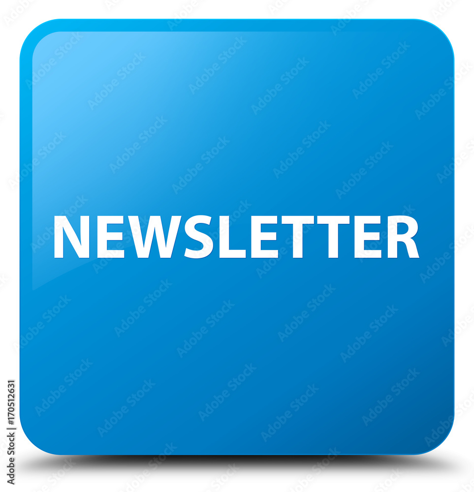 Newsletter cyan blue square button Newsletter cyan blue square button