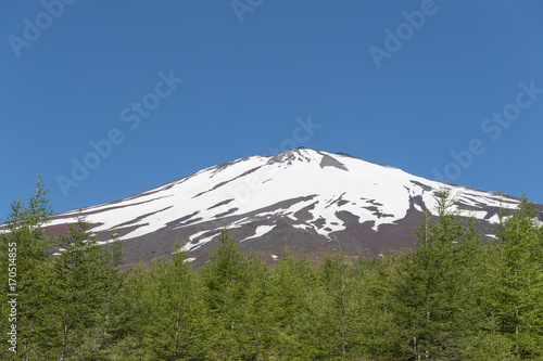 Top of Mt.Fuji with snow and Mt.Fuji natural recreation forest trail in spring