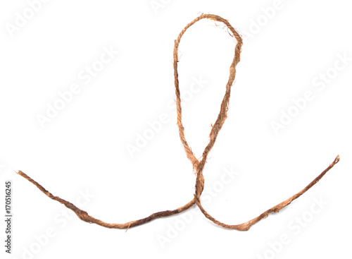 Piece of old rope on white background