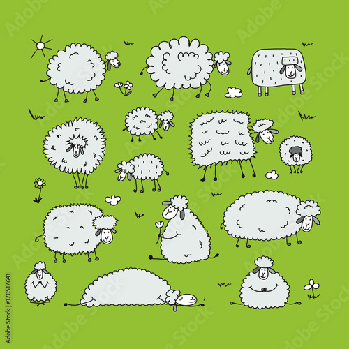 Funny sheeps, sketch for your design