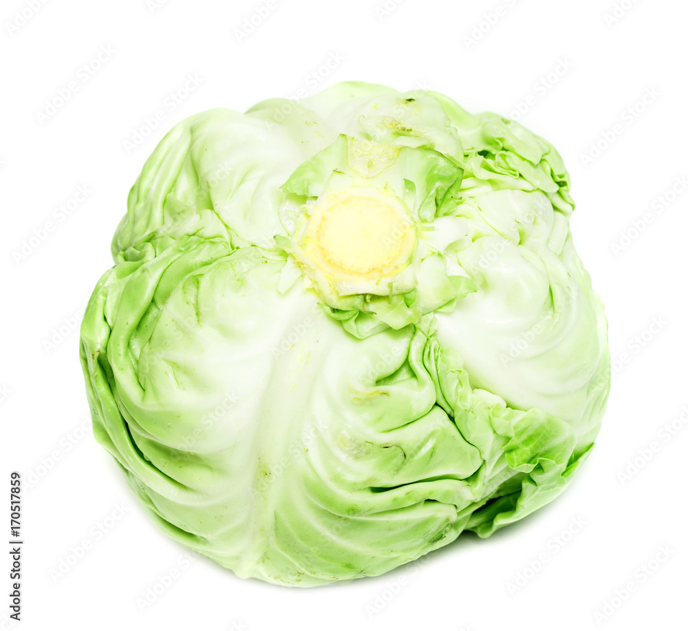 cabbage isolated on white cabbage isolated on white