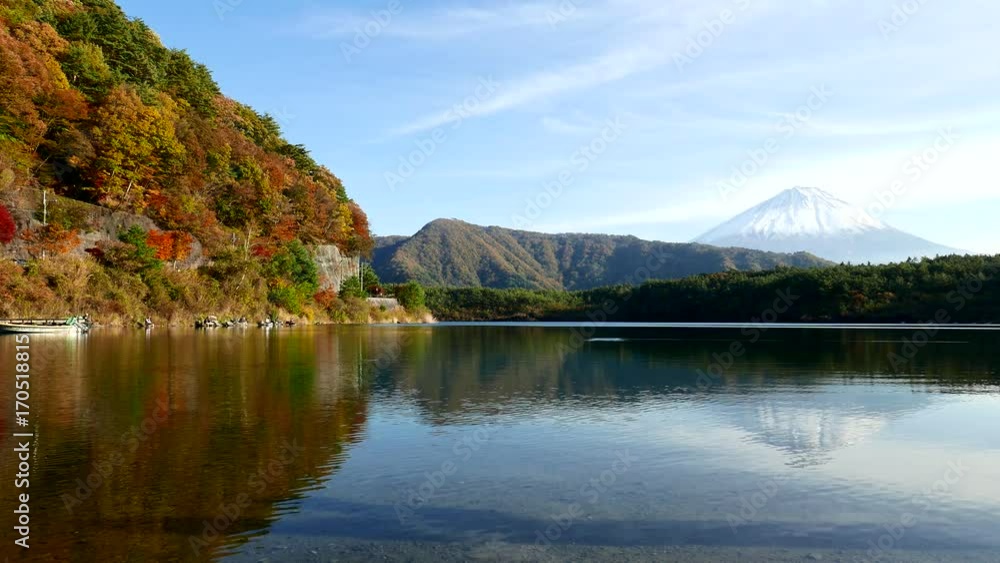 Mountain Fuji and saiko in autumn Mountain Fuji and saiko in autumn