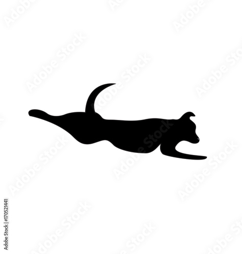 Dog jump icon vector