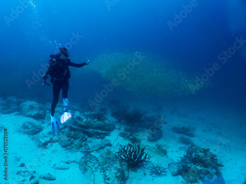 Woman scuba diver under blue water with school of snapper fish © Thanrada