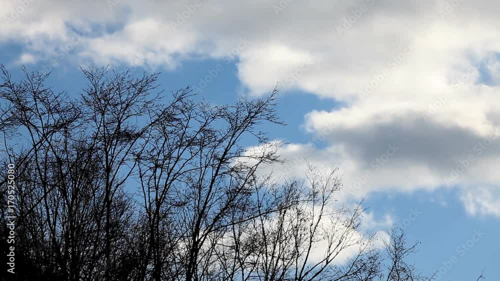 Cloudscape and Roof Timelapse Cloudscape and Roof Timelapse