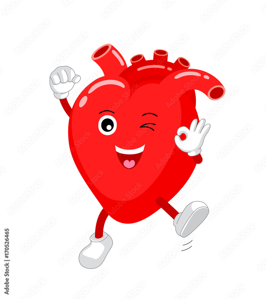Cute and funny, smiling red heart character. Human internal organ mascot showing okay hand sign. Health-care concept, vector illustration isolated on white background. Cute and funny, smiling red heart character. Human internal organ mascot showing okay hand sign. Health-care concept, vector illustration isolated on white background.