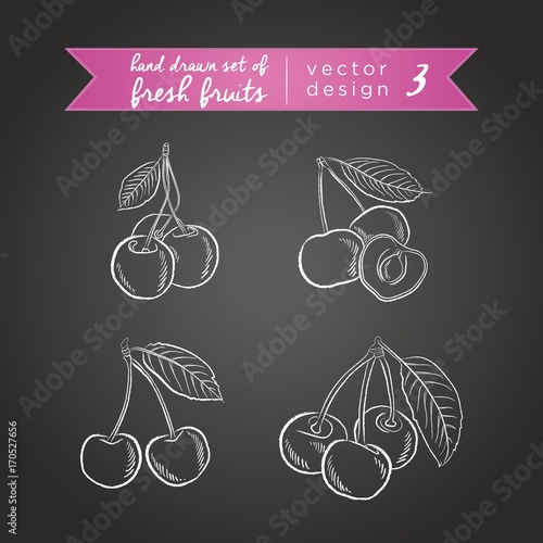 Cherry. Collection of fresh fruits, whole, half and bitten with leaf. Vector illustration. Isolated 