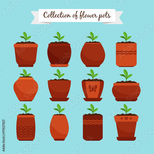 Flowerpots with soil and sprouts