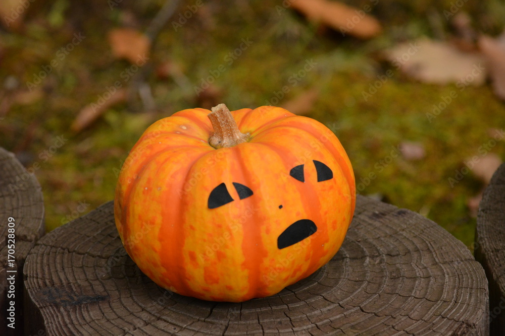 Fototapeta premium ハロウィン