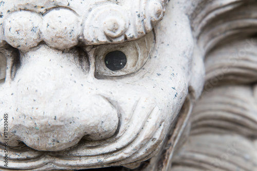 Close up Chinese style lion statue