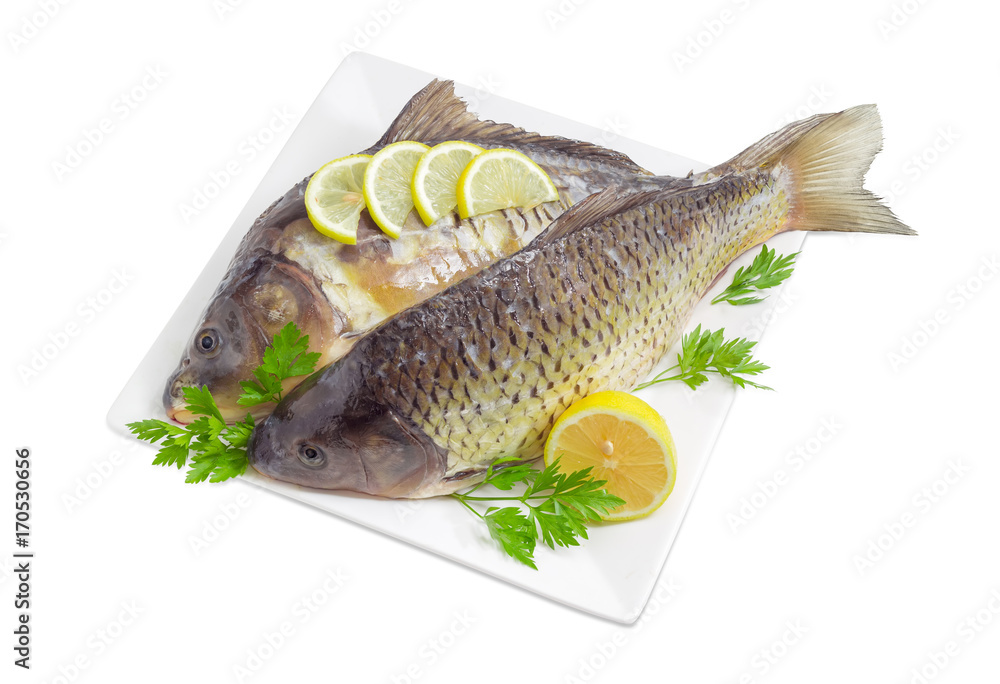 Two different carps prepared for cooking on dish Two different carps prepared for cooking on dish