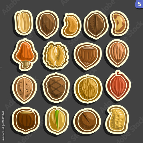 Vector Set of Nuts icons: 17 minimal abstract labels of nuts fruit isolated on black background, set of cartoon simple stickers nut in nutshell for packing, tags for raw organic food graphic pictogram