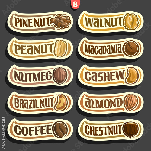 Vector Set of Nuts labels with text: 10 minimal signs of nuts fruit isolated on black background, set of cartoon simple stickers nut in nutshell for packing with original font, tags for snack food.