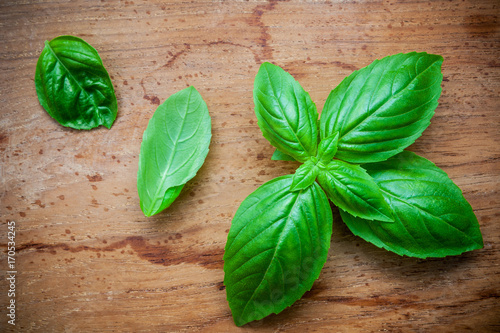 Fresh sweet basil leaves on shabby teak wood background. Sweet basil leafs with flat lay. Food ingredients and seasoning wooden background with copy space.