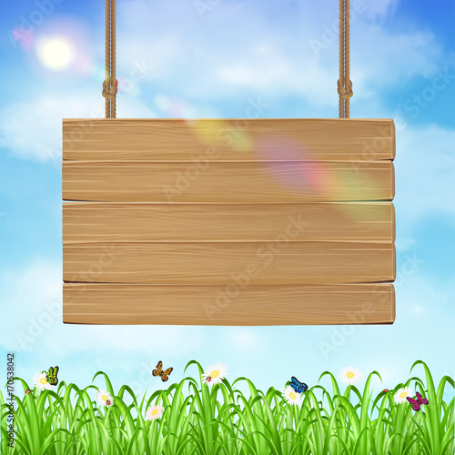 hang wood board sign with grass and sky background