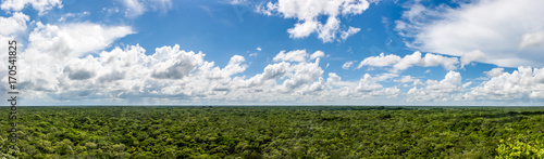 Panorama from the top of the Cobà pyramid, Cobà archaeological site, Quintana Roo, Mexico.