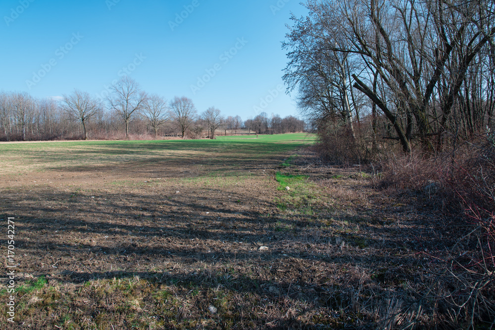 Spring walk between the fields and in the woods. Friuli to discover Spring walk between the fields and in the woods. Friuli to discover