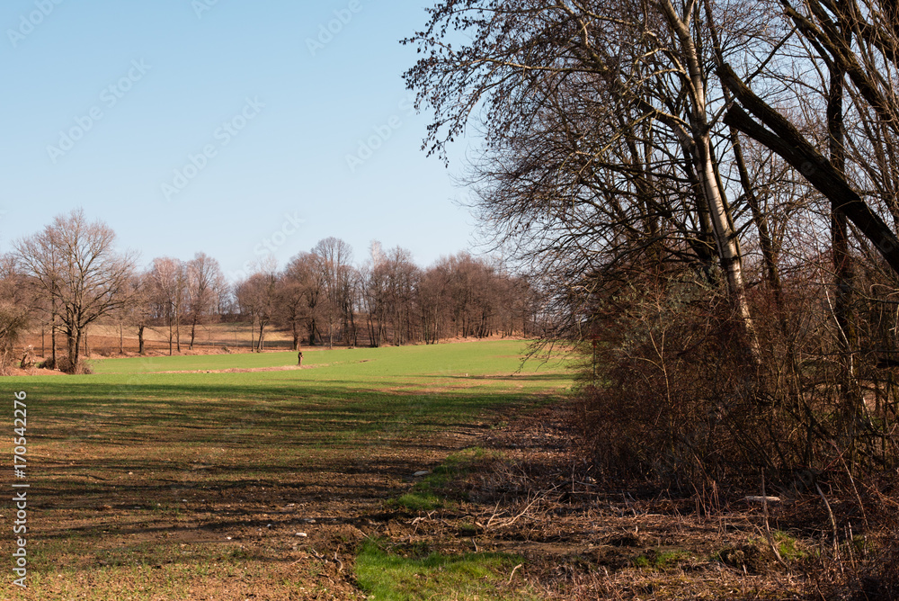 Spring walk between the fields and in the woods. Friuli to discover
