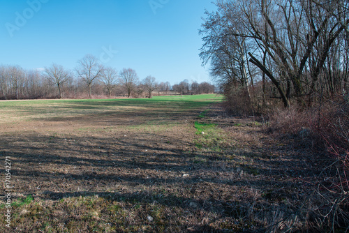 Spring walk between the fields and in the woods. Friuli to discover